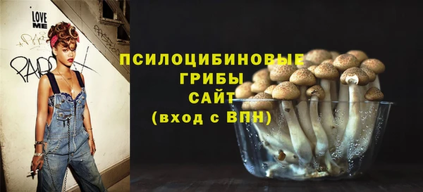 дживик Пересвет