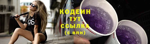 дживик Пересвет