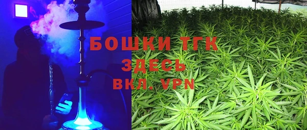 дживик Пересвет
