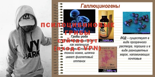 дживик Пересвет