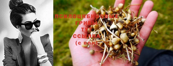 стафф Осташков
